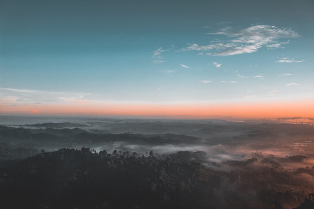 bird s eye view photography of green forest 1208379 slider 3